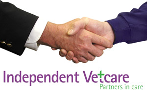 More expansion on cards at Bath-based vets group after it secures new equity funding