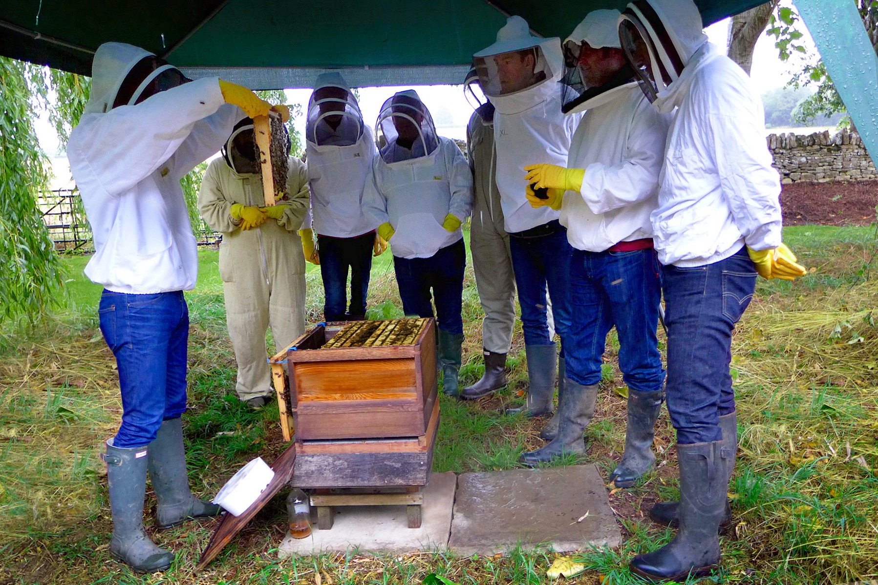 Hotel looks to create a buzz with its corporate beekeeping days