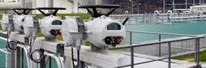 rotork