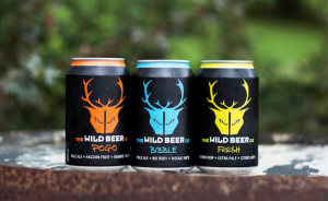 Canning line opens up brand new opportunities for craft beer firm ahead of move to new brewery