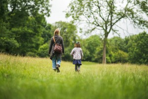 £1.65m funding for project conserving the natural heritage of Bath’s surroundings