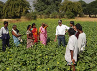 Investor showcase debut for sustainable crop pioneers hoping to yield £150,000