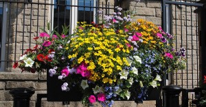 Growth blooms for plastic rubbish bin business after it snaps up firm behind self-watering street planters